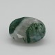 Tree Agate 5.57 Ct Gem Quality Tree Agate 5.57 Ct Gem Quality